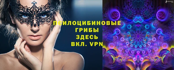 прущие грибы Ачинск