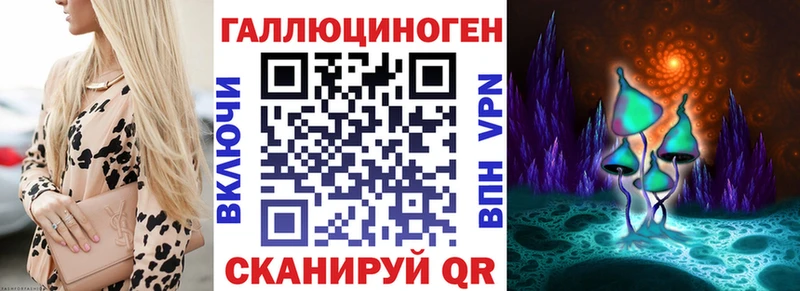 Галлюциногенные грибы Psilocybine cubensis  Белгород 