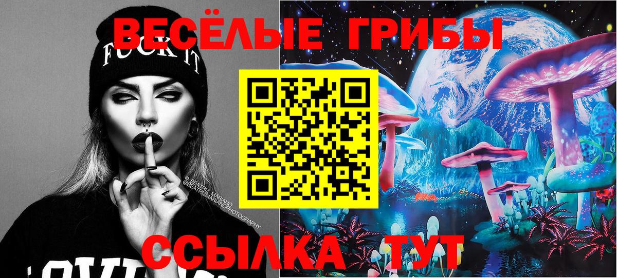 Белгород  Псилоцибиновые грибы Psilocybe  Вход с VPN 